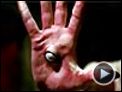 Le Labyrinthe de Pan Teaser VF