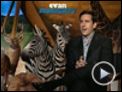 Steve Carell, Lauren Graham, Tom Shadyac, Wanda Sykes Interview : Evan tout-puissant