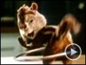 Alvin et les Chipmunks Extrait vidéo (4) VF