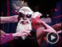 Chobizenesse Bande-annonce