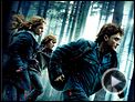 Plein 2 Ciné N°95 - Les films du 24 novembre 2010