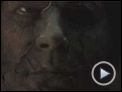 Halloween 2 Bande-annonce VO