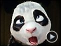 Le Monde merveilleux d'Impy Extrait vidéo