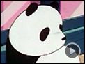 Panda Petit Panda Extrait (2)
