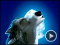 Alpha & Omega - 3D Teaser (2) VO