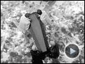 Kill Me Please Extrait vidéo (2) VF