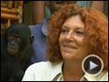 Bonobos Extrait vidéo
