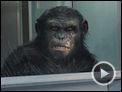 La Planète des singes : les origines Bande-annonce (2) VO