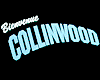 Bienvenue à Collinwood Bande-annonce VF
