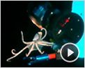 Aliens of the Deep Bande-annonce VO