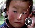 Le chien jaune de Mongolie Bande-annonce VO