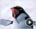 Happy Feet Bande-annonce (3) VO