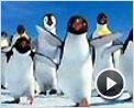 Happy Feet Extrait vidéo (9) VF