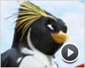 Les Rois de la glisse Teaser VF