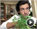 L'Age d'homme... maintenant ou jamais Extrait vidéo (3)
