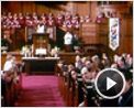 Permis de mariage Bande-annonce VO