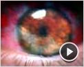 Day Watch Extrait vidéo (10) VO