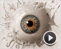 La Minute N°801 - Lundi 08 novembre 2010