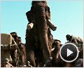 10 000 Teaser VF