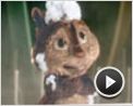 Alvin et les Chipmunks Extrait vidéo (2) VF