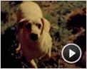 Louise-Michel Extrait vidéo (3)