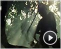Vinyan Extrait vidéo (3) VO