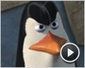 Madagascar 2 Bande-annonce (2)