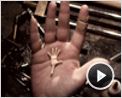 Coraline Making Of (2) VO