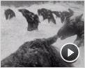 Winnipeg mon amour Extrait vidéo (2) VO
