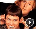 Merci Qui? N°40 - "Dumb and Dumber"