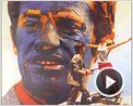 Merci Qui? N°237 - "Pierrot le Fou"