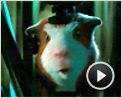 Mission-G Extrait vidéo