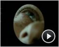 Millénium, le film Teaser (3) VO