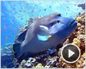 Voyage sous les mers 3D Bande-annonce VF