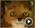 Fantastic Mr. Fox Bande-annonce VF