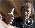 Coeur animal Extrait vidéo (3)