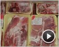 Food, Inc. Extrait vidéo (2) VO