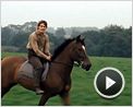 Bubbles N°93 - "Cheval de guerre"