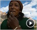 Himalaya, terre des femmes Bande-annonce