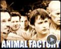 Photo : Animal Factory Bande-annonce VO