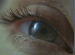Photo : Hannibal Teaser VO