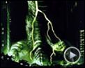 Photo : Godzilla Bande-annonce (3) VF