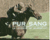 Photo : Pur Sang, la légende de Seabiscuit Bande-annonce VF