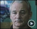 Photo : Broken Flowers Bande-annonce VO
