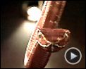 Photo : Des serpents dans l'avion Bande-annonce VF