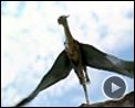 Photo : Eragon Bande-annonce