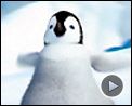Photo : Happy Feet Bande-annonce (4) VO