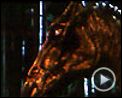 Photo : Harry Potter et l'Ordre du Phénix Extrait vidéo (2) VO