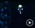 Photo : Harry Potter et l'Ordre du Phénix Extrait vidéo (5) VO