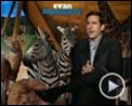 Photo : Steve Carell, Lauren Graham, Tom Shadyac, Wanda Sykes Interview : Evan tout-puissant